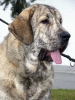 Filename=a-jenny.jpg
Filesize=75KiB
Dimensions=600x800
Date added=%932 %19, %2009 a-jenny.jpg