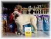 Filename=a-lois-CAJC.jpg
Filesize=61KiB
Dimensions=450x352
Date added=%676 %09, %2007 a-lois-CAJC.jpg