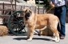 Filename=a-neva_de_basillon.jpg
Filesize=105KiB
Dimensions=960x628
Date added=%506 %24, %2013 a-neva_de_basillon.jpg