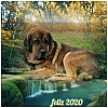 Filename=abelgas_2020.jpg
Filesize=215KiB
Dimensions=960x960
Date added=%927 %31, %2020 abelgas_2020.jpg