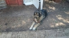 Filename=abuelo~0.jpg
Filesize=131KiB
Dimensions=1136x638
Date added=%868 %02, %2016 abuelo~0.jpg