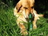 Filename=after-work.jpg
Filesize=35KiB
Dimensions=450x338
Date added=%216 %10, %2008 after-work.jpg