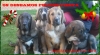 Filename=amdece-de_nava.jpg
Filesize=119KiB
Dimensions=960x528
Date added=%526 %25, %2012 amdece-de_nava.jpg
