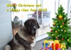 Filename=antero_xmas.jpg
Filesize=87KiB
Dimensions=960x678
Date added=%976 %20, %2014 antero_xmas.jpg