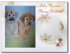 Filename=antonio_cachorros_barrieros_xmas14.jpg
Filesize=24KiB
Dimensions=502x389
Date added=%925 %24, %2014 antonio_cachorros_barrieros_xmas14.jpg