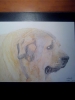 Filename=anya.jpg
Filesize=19KiB
Dimensions=403x537
Date added=%485 %10, %2014 anya.jpg