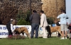 Filename=aragon-y.jpg
Filesize=158KiB
Dimensions=1200x779
Date added=%938 %20, %2008 aragon-y.jpg