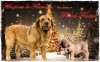 Filename=arboles_de_navidad3-(2).jpg
Filesize=165KiB
Dimensions=1280x800
Date added=%293 %13, %2011 arboles_de_navidad3-(2).jpg