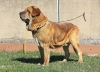Filename=arevelo-zumbos.jpg
Filesize=162KiB
Dimensions=960x699
Date added=%901 %20, %2019 arevelo-zumbos.jpg