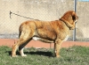 Filename=arevelo-zumbos2C2.jpg
Filesize=190KiB
Dimensions=960x711
Date added=%901 %20, %2019 arevelo-zumbos2C2.jpg