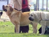Filename=arnold,zazi-hlucin.jpg
Filesize=37KiB
Dimensions=557x425
Date added=%347 %17, %2006 arnold,zazi-hlucin.jpg