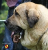 Filename=arnon.jpg
Filesize=108KiB
Dimensions=920x960
Date added=%716 %18, %2014 arnon.jpg