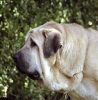 Filename=aro.jpg
Filesize=48KiB
Dimensions=400x407
Date added=%869 %08, %2006 aro.jpg