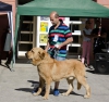 Filename=aslan_de_los_espinos-.jpg
Filesize=128KiB
Dimensions=960x911
Date added=%634 %05, %2015 aslan_de_los_espinos-.jpg