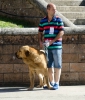 Filename=aslan_de_los_espinos.jpg
Filesize=122KiB
Dimensions=824x960
Date added=%635 %05, %2015 aslan_de_los_espinos.jpg