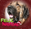 Filename=autocan~1.jpg
Filesize=152KiB
Dimensions=960x931
Date added=%998 %31, %2020 autocan~1.jpg