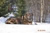 Filename=azlan-memoria.jpg
Filesize=85KiB
Dimensions=960x642
Date added=%730 %08, %2014 azlan-memoria.jpg