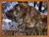 Filename=b2.jpg
Filesize=70KiB
Dimensions=567x433
Date added=%097 %10, %2007 b2.jpg