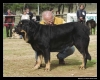 Filename=baltasar.jpg
Filesize=47KiB
Dimensions=642x520
Date added=%534 %23, %2006 baltasar.jpg