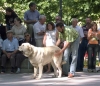 Filename=baltasar1.jpg
Filesize=71KiB
Dimensions=800x693
Date added=%544 %16, %2006 baltasar1.jpg