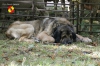 Filename=barquero.jpg
Filesize=118KiB
Dimensions=960x640
Date added=%746 %18, %2014 barquero.jpg