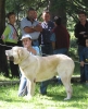 Filename=barriosfatima.jpg
Filesize=42KiB
Dimensions=487x600
Date added=%703 %03, %2006 barriosfatima.jpg