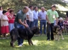 Filename=basilio-no37.jpg
Filesize=75KiB
Dimensions=800x598
Date added=%640 %28, %2006 basilio-no37.jpg