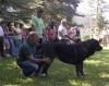 Filename=basilio.jpg
Filesize=76KiB
Dimensions=800x632
Date added=%639 %28, %2006 basilio.jpg
