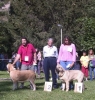 Filename=best-puppy-2-1.jpg
Filesize=100KiB
Dimensions=762x800
Date added=%983 %24, %2006 best-puppy-2-1.jpg