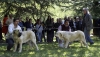 Filename=best-puppy.jpg
Filesize=220KiB
Dimensions=1500x855
Date added=%567 %27, %2008 best-puppy.jpg
