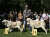 Filename=best-puppy2-1-a.jpg
Filesize=136KiB
Dimensions=1200x877
Date added=%570 %27, %2008 best-puppy2-1-a.jpg