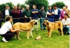 Filename=best_puppies_vereda_caminan.jpg
Filesize=88KiB
Dimensions=800x556
Date added=%761 %09, %2006 best_puppies_vereda_caminan.jpg