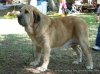 Filename=bimba.jpg
Filesize=66KiB
Dimensions=670x502
Date added=%714 %02, %2019 bimba.jpg