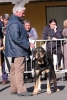 Filename=black-tan-hembra.jpg
Filesize=35KiB
Dimensions=402x600
Date added=%963 %01, %2006 black-tan-hembra.jpg