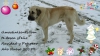Filename=blas_xmas14.jpg
Filesize=77KiB
Dimensions=960x540
Date added=%033 %23, %2014 blas_xmas14.jpg