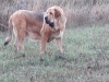 Filename=bohemia_rabiza-_.jpg
Filesize=83KiB
Dimensions=960x720
Date added=%993 %20, %2019 bohemia_rabiza-_.jpg