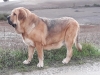 Filename=bohemia_rabiza2C2C.jpg
Filesize=82KiB
Dimensions=960x720
Date added=%993 %20, %2019 bohemia_rabiza2C2C.jpg