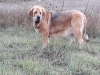 Filename=bohemia_rabiza_m.jpg
Filesize=119KiB
Dimensions=960x720
Date added=%993 %20, %2019 bohemia_rabiza_m.jpg