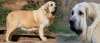 Filename=bologna_gen.jpg
Filesize=330KiB
Dimensions=927x401
Date added=%590 %08, %2015 bologna_gen.jpg