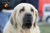 Filename=boy__.jpg
Filesize=61KiB
Dimensions=960x640
Date added=%711 %23, %2014 boy__.jpg