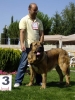 Filename=brisa.jpg
Filesize=133KiB
Dimensions=825x1100
Date added=%662 %21, %2007 brisa.jpg