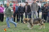 Filename=bruma-a.jpg
Filesize=111KiB
Dimensions=960x640
Date added=%920 %15, %2014 bruma-a.jpg