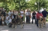 Filename=bulnes-truhan63-65.jpg
Filesize=62KiB
Dimensions=800x523
Date added=%752 %19, %2006 bulnes-truhan63-65.jpg