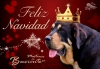 Filename=buxionte_xmas14.jpg
Filesize=77KiB
Dimensions=960x669
Date added=%969 %20, %2014 buxionte_xmas14.jpg