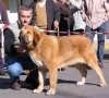 Filename=cachorros-hembra-mario.jpg
Filesize=31KiB
Dimensions=700x633
Date added=%932 %01, %2006 cachorros-hembra-mario.jpg