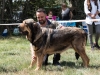 Filename=cah_exc3_tizona2520de2520la2520vicheriza.jpg
Filesize=539KiB
Dimensions=800x607
Date added=%859 %22, %2019 cah_exc3_tizona2520de2520la2520vicheriza.jpg