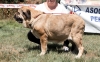 Filename=cah_exc_aixa.jpg
Filesize=475KiB
Dimensions=800x499
Date added=%859 %22, %2019 cah_exc_aixa.jpg