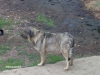 Filename=camara2_014.jpg
Filesize=154KiB
Dimensions=640x480
Date added=%666 %07, %2008 camara2_014.jpg