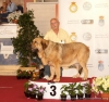 Filename=campeona.jpg
Filesize=69KiB
Dimensions=670x635
Date added=%714 %02, %2019 campeona.jpg
