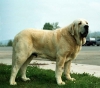Filename=canon.jpg
Filesize=34KiB
Dimensions=400x355
Date added=%502 %26, %2006 canon.jpg